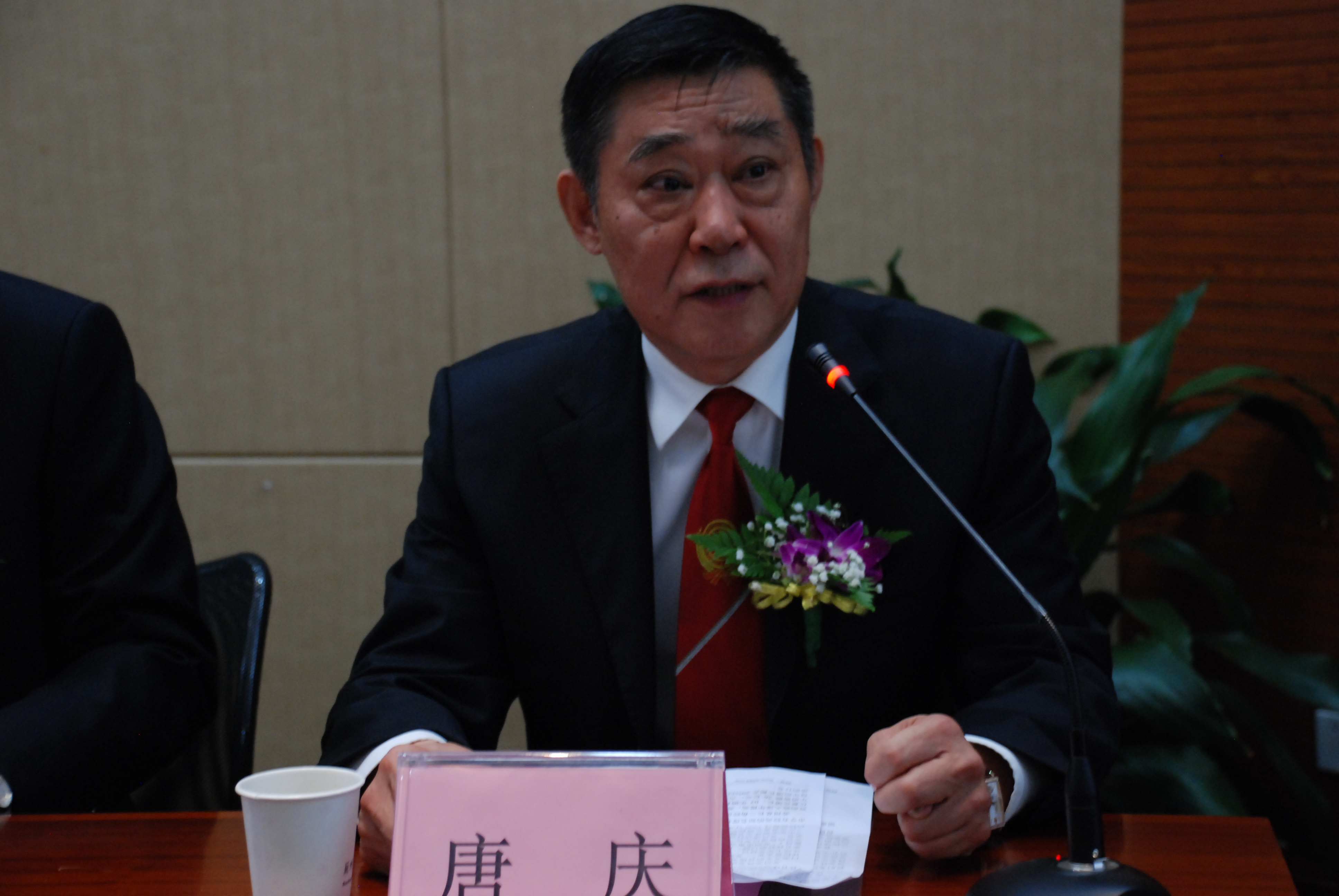 龙凤集团董事长_龙凤集团董事长近照